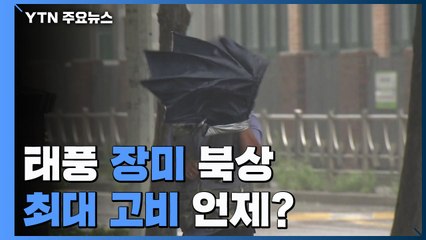 [날씨] 태풍 '장미' 북상...지역별 최대 고비 시점은? / YTN