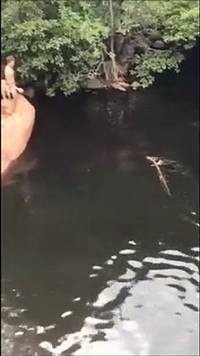 Son chien lui remmène un très très gros baton