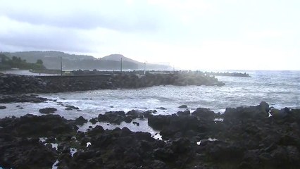 제주 태풍 영향권 ...태풍주의보 발효 / YTN