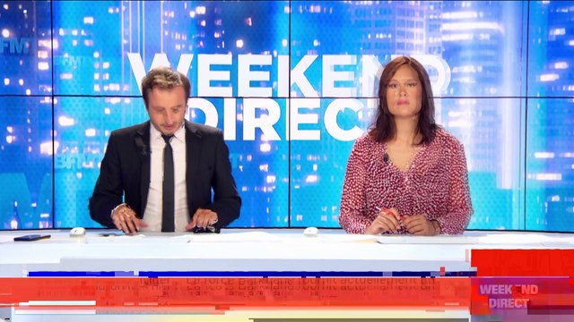 Niger: des Français et leurs guides tués par des hommes armés (3/5) - 09/08