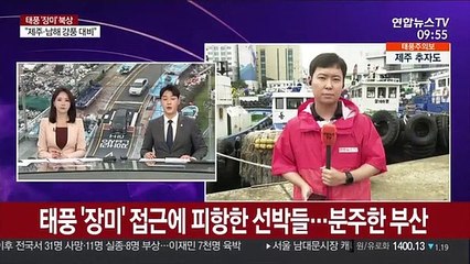태풍 '장미' 접근에 피항한 선박들…분주한 부산