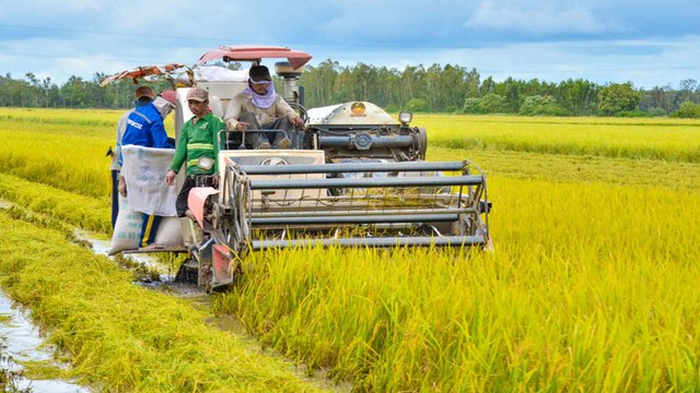 Khánh Hòa: Xây dựng ngành nông nghiệp thông minh, đặc hữu | VTC