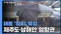 [날씨] 태풍 '장미' 북상, 남해안 상륙...최고 250mm 비바람 / YTN