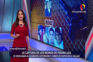 La captura de ‘Los Monos de Piedra Liza’