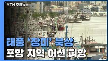 태풍 '장미' 북상...포항 지역 어선 1,300여 척 피항 / YTN