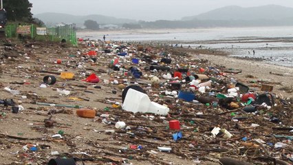 충남 서천 해안 뒤덮은 쓰레기..."금강 상류에서 유입" / YTN
