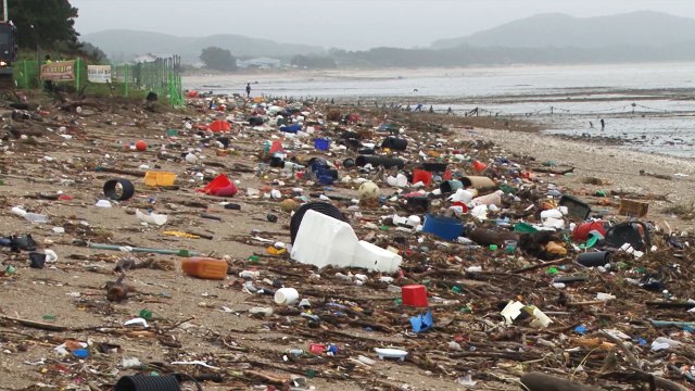 충남 서천 해안 뒤덮은 쓰레기... 금강 상류에서 유입 / YTN