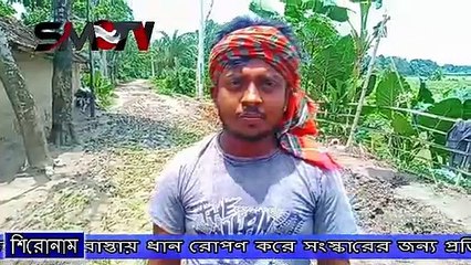 সাতক্ষীরার তালায় চলাচলের রাস্তায় ধান রোপণ করে সংস্কারের জন্য প্রতিবাদ