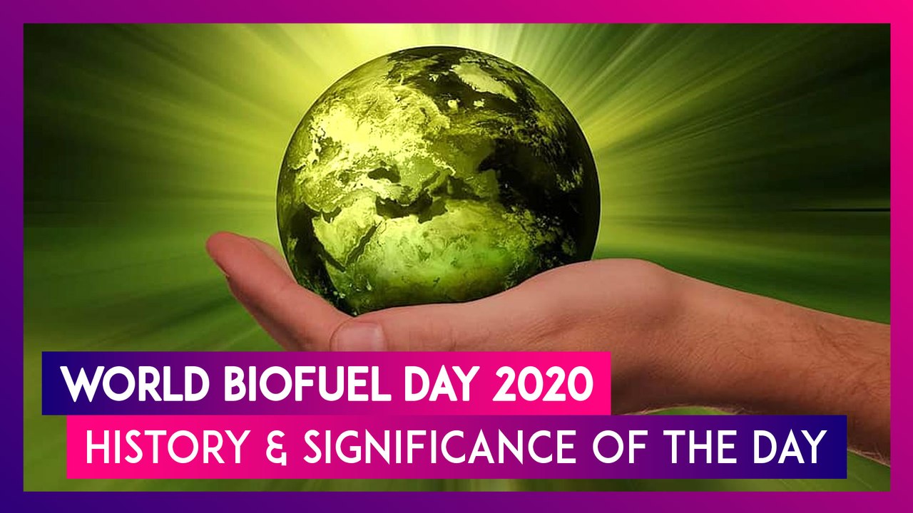 World Biofuel Day 2020: Know Significance Of The Day That Raises Awareness About Non-Fossil Fuels
