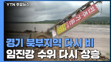 경기 북부지역 다시 비...임진강 일부 홍수주의보 발령 / YTN