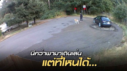นาทีน้ำตาซึม ตูบแกว่งหางเริงร่า นึกว่าได้มาเดินเล่น ที่ไหนได้ถูกหลอกมาทิ้ง