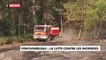 Forêt de Fontainebleau : la lutte contres les incendies passe aussi par le ciel