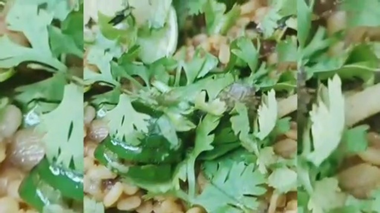 Dhaba Style Daal Tadka _ Urad Daal recipe__Fast Easy & tasty _ (urdu & hindi)