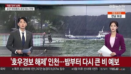 '호우경보 해제' 인천…밤부터 다시 큰 비 예보