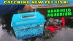 Handheld Mini Aquarium! Catching New Pet Exotic Fish