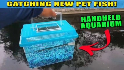 Handheld Mini Aquarium! Catching New Pet Exotic Fish
