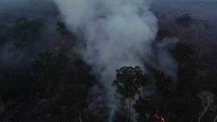 El Amazonas ha sufrido 6000 incendios en lo que llevamos de agosto