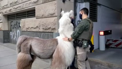 César, la llama pacifista que concilia entre manifestantes y policías en Estados Unidos