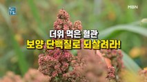 더위 먹은 혈관, 보양 단백질로 되살려라!