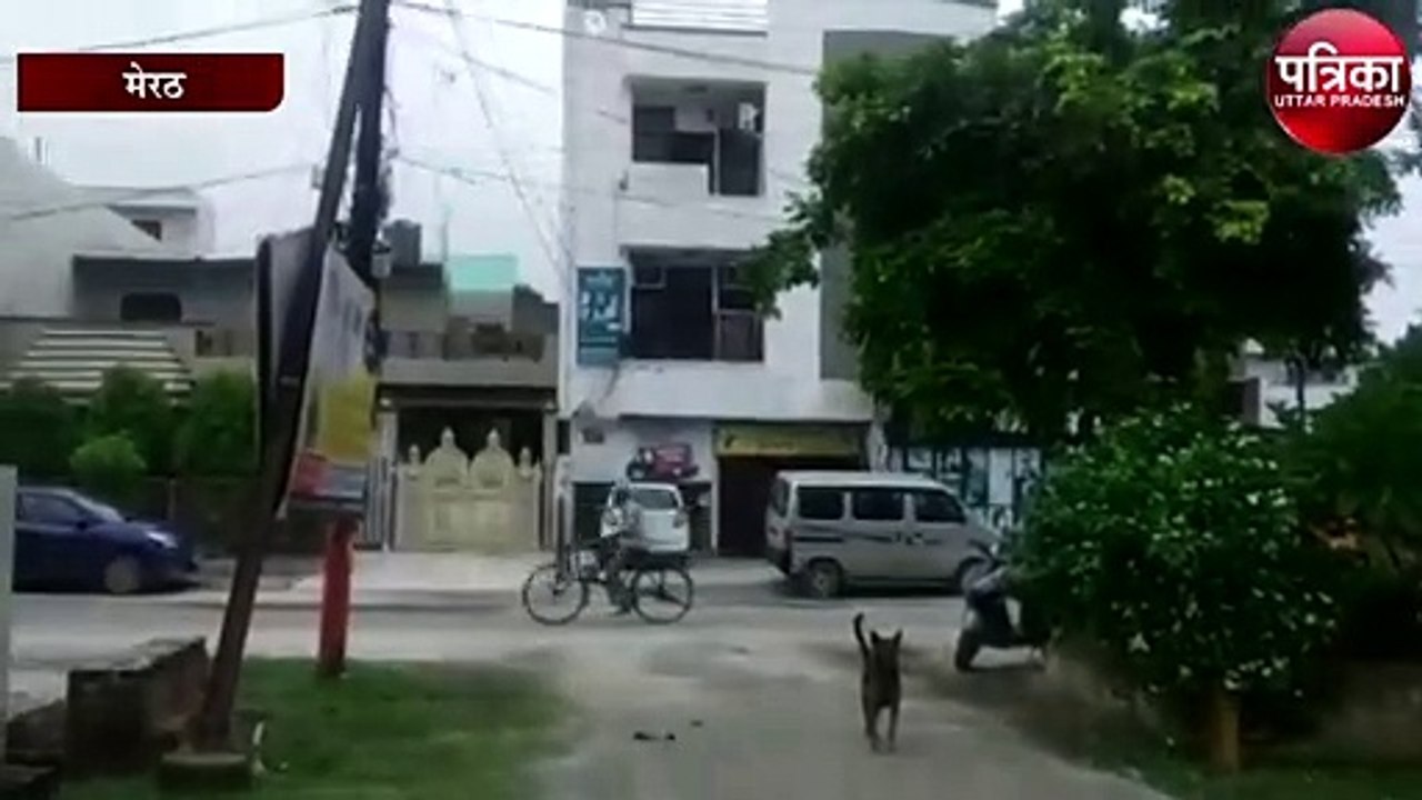गर्मी और उमस से परेशान मेरठवासी और पशु-पक्षी