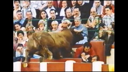 The best of Hignfy series 16