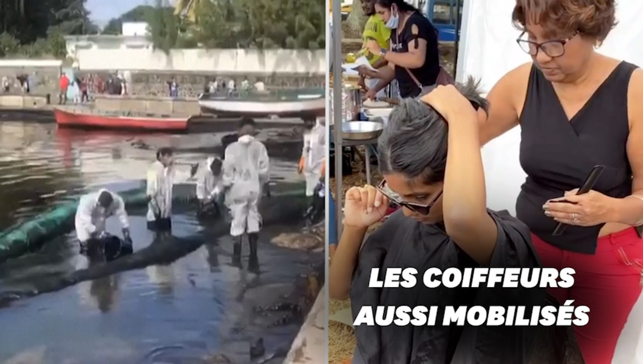 À l'Île Maurice, des dons de cheveux en barrage à la marée noire