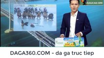 Daga360.com - Đá gà trực tiếp. Bắt giữ 7 đối tượng đá gà ăn tiền tại An Giang