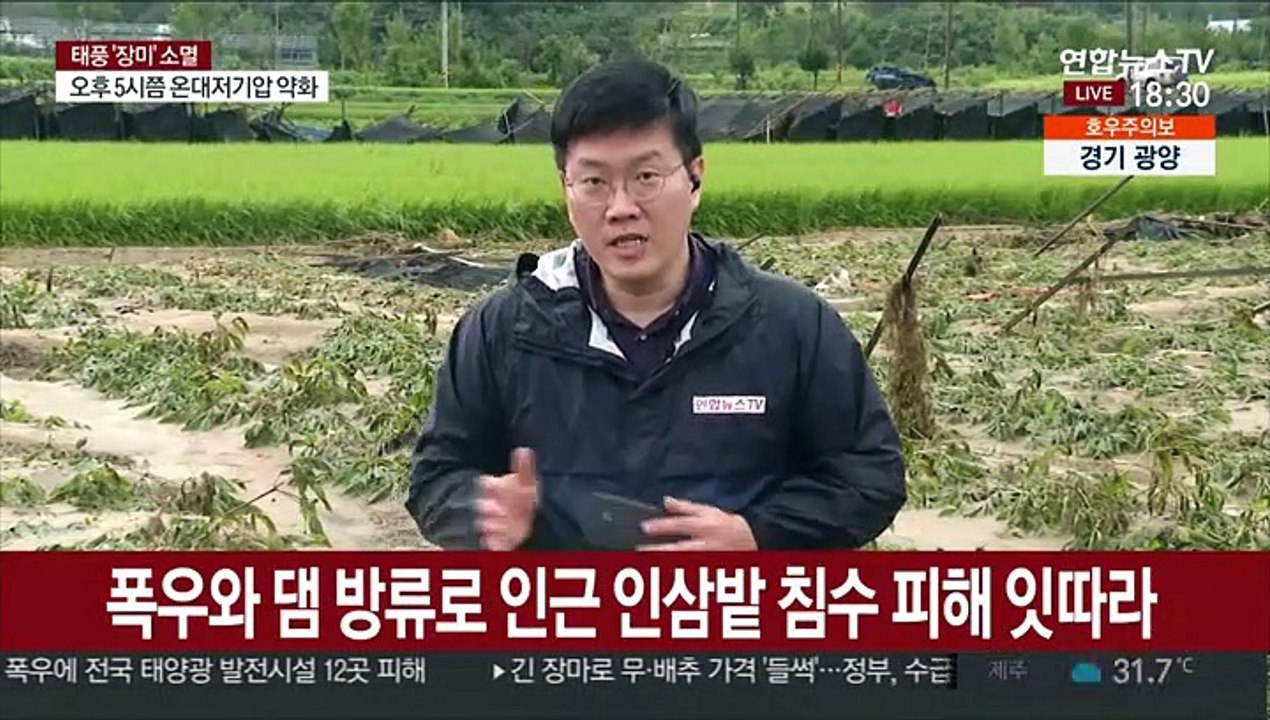 "또 잠길라"…인삼밭 침수 금산, 연일 호우에 걱정