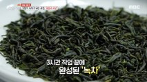 [HOT] the process by which tea leaves become green tea., 생방송 오늘 저녁 20200810
