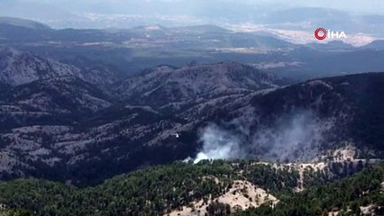 Muğla’da orman yangını