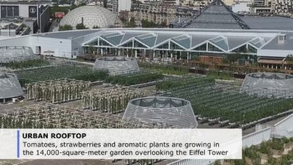Europe's largest urban rooftop garden grows in Paris