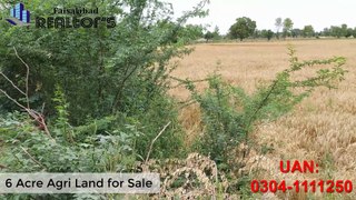 6 Acre Agriculture Land for Farming, Future Investment for Sale at Ideal Location of Faisalabad #landforsale #ideal #futureinvestment