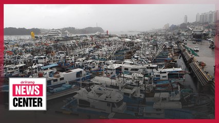 Typhoon Jangmi lands on S. Korea's southern coast but soon disappears