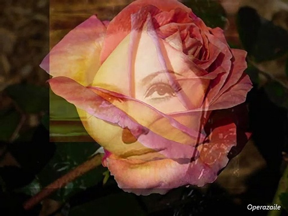 Margaret Price: Lieder by Schumann 1981