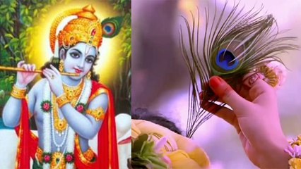 भगवान श्रीकृष्ण के मुकुट पर क्यों सजाते है मोरपंख, जानिए रोचक तथ्य । Boldsky