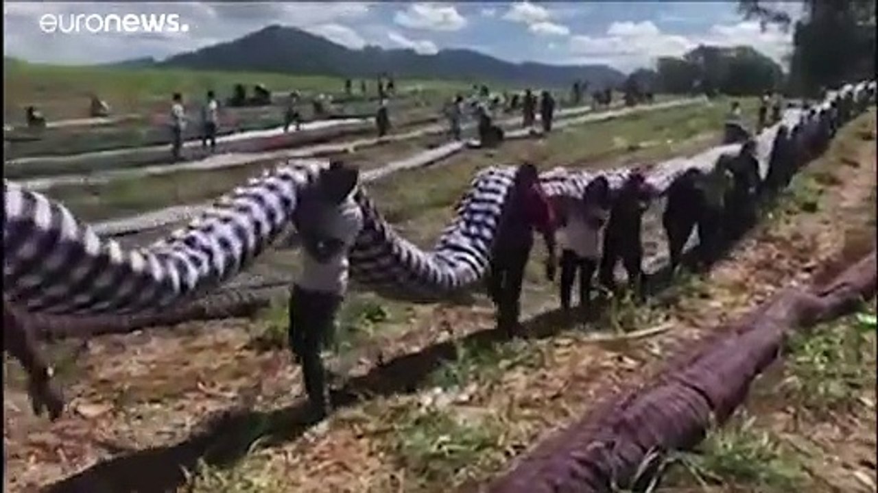 Umweltkatastrophe in Mauritius: Schuld ist "Abhängigkeit vom Öl"