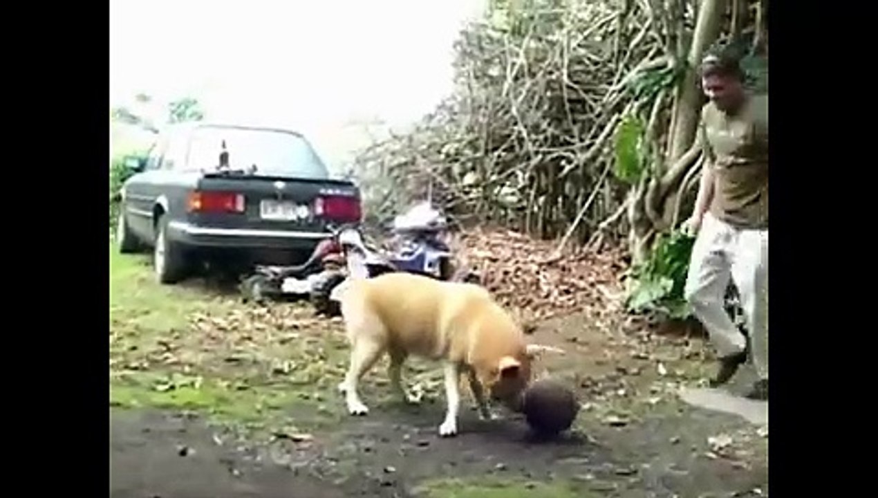 Horrible Automobile Accident Caught on Tape!