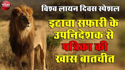विश्व लायन दिवस पर इटावा सफारी के उपनिदेशक से पत्रिका की खास बातचीत