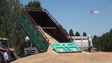 Hububat üreten çiftçilerden Muş ekonomisine 1 milyar TL katkı