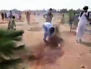 Pakistan'da 6 bin ağaç 'İslam'a aykırı' diye mi söküldü?