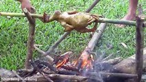 Ethnic Dao grilled chicken - delicious  Forest Mountain Life