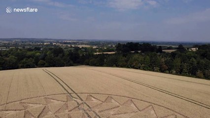 Drone footage showcases impressive crop circle in UK countryside