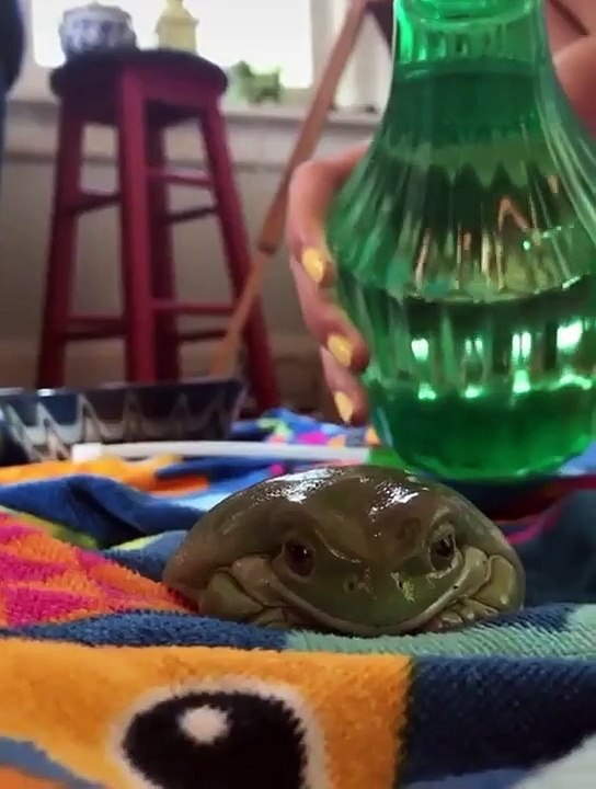 Wendy loves her water