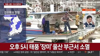 태풍 '장미' 소멸…다시 장맛비, 16일까지 계속
