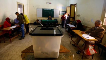 Egypt braces for Senate elections