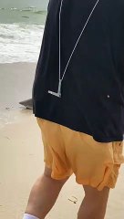 Surf Fisherman Reels in Shark During Shark Week