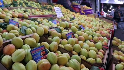 - Sezonun son yaş kayısıları tezgahlarda