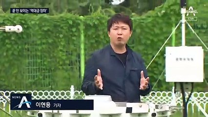 벌써 48일째 계속 된 장마…사상 처음 50일 넘길 듯