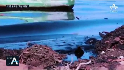 日 화물선 기름 덮어쓴 모리셔스…‘환경비상사태’ 선포