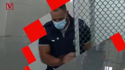 This Little Jack Russell Terrier Has Been Tried to Find COVID-19 Cases